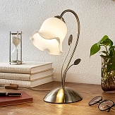 Stolná lampa - Kvetinovo navrhnutá lampa Matea, typ 9620757.